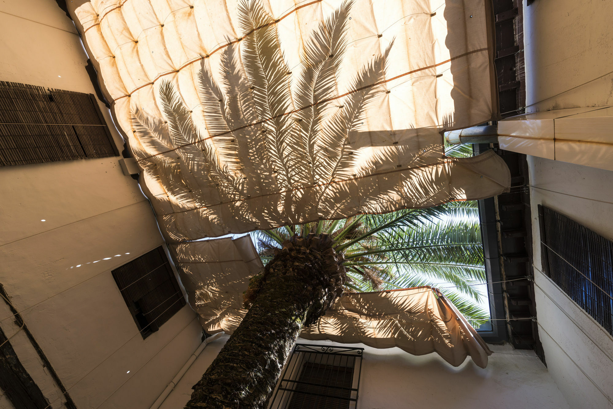 Hotel Rural Tia Pilar Almagro Ngoại thất bức ảnh